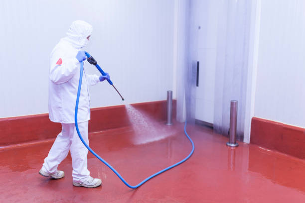 Best Oil Spill Cleanup  in Sto Brook, NY